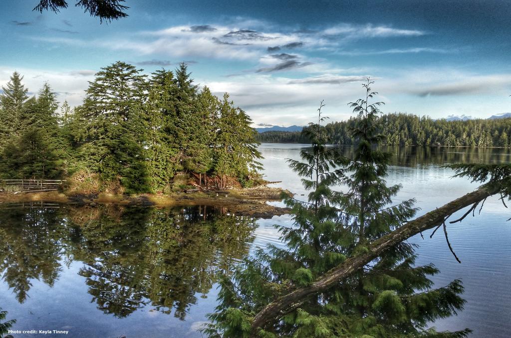 Waters Edge Shoreside Suites Ucluelet Eksteriør billede