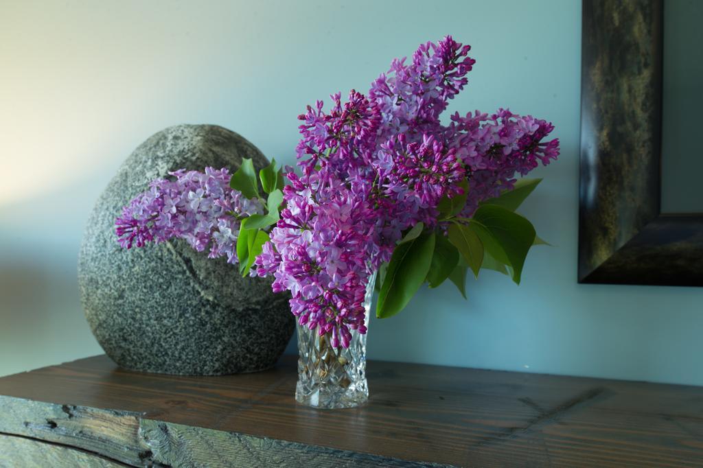 Waters Edge Shoreside Suites Ucluelet Eksteriør billede
