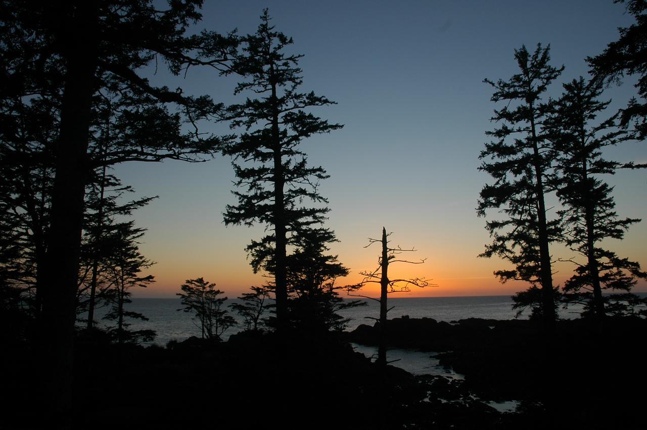 Waters Edge Shoreside Suites Ucluelet Eksteriør billede