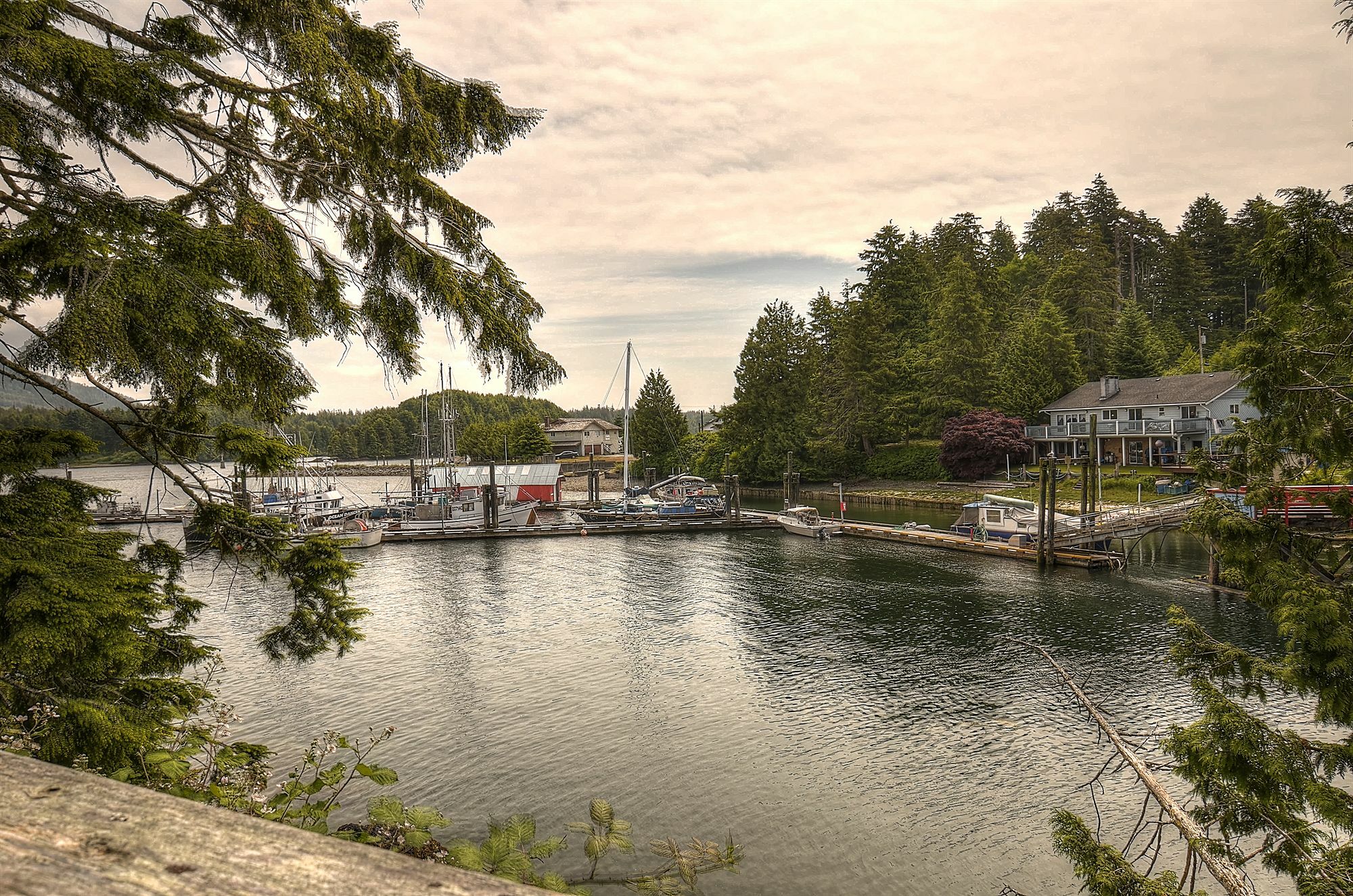 Waters Edge Shoreside Suites Ucluelet Eksteriør billede